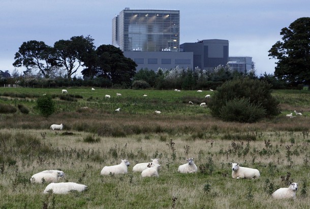 Sheep graze in fields next to British Energy Hunterston 'B' nuclear power station in west Scotland